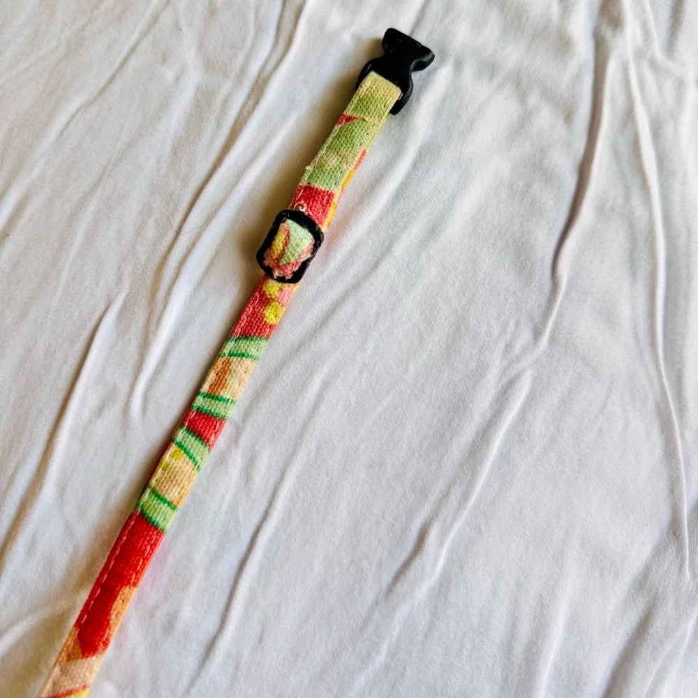 Pet Boutique Orange Yellow & Lime Green Retro Floral Fabric Skinny Dog Collar